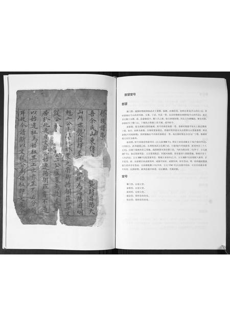 山东佘氏-佘氏族谱.舞旗埠村.pdf电子版预览图5