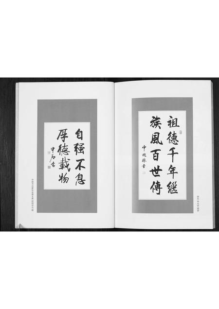 山西申氏-申氏族谱.pdf电子版预览图3