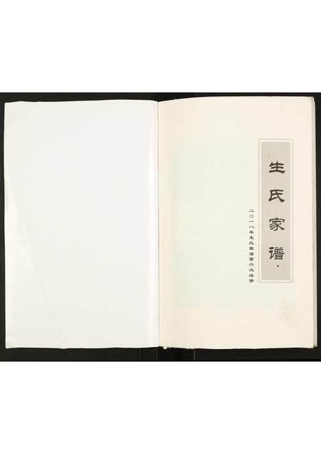 山东生氏-生氏家谱.pdf电子版预览图1