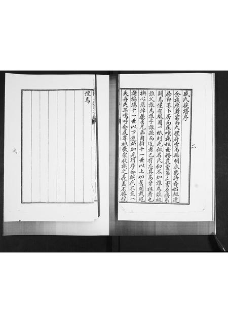 山东盛氏-盛氏族谱.pdf电子版预览图2