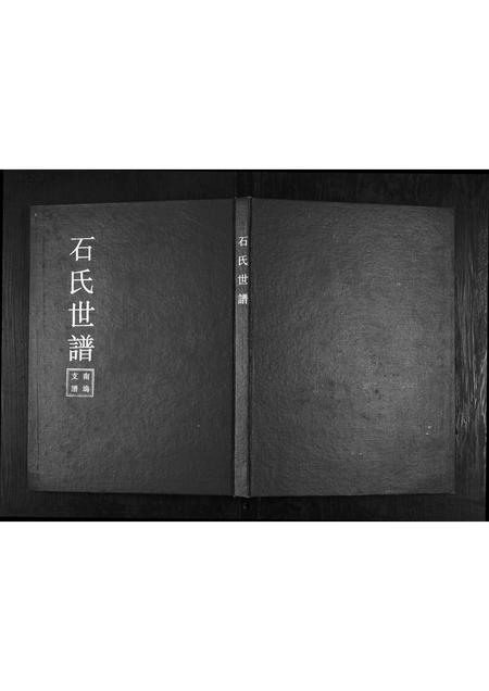 山东石氏-石氏宗谱.pdf电子版缩略图