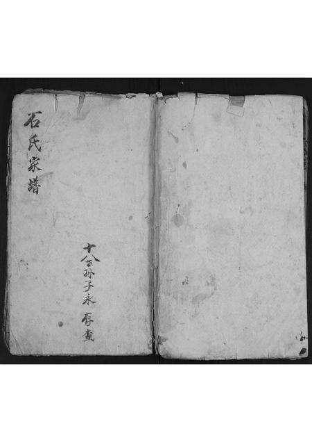 山东石氏-石氏家谱.pdf电子版缩略图