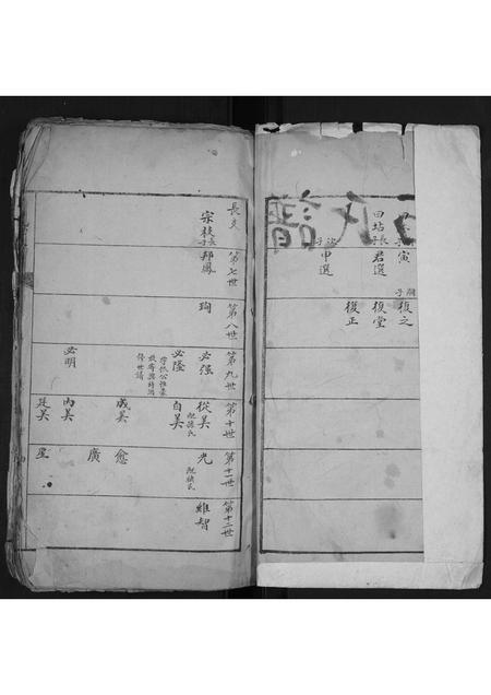 山东石氏-石氏家谱.pdf电子版预览图1