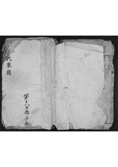 山东石氏-石氏家谱.pdf电子版缩略图