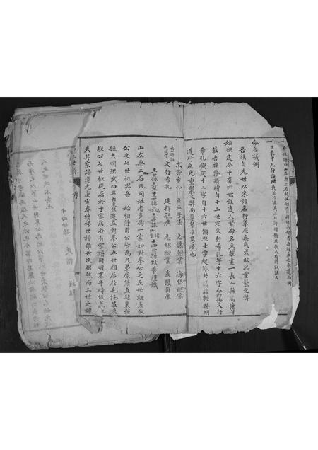 山东石氏-石氏家谱.pdf电子版预览图1