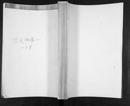 山东石氏-石氏族谱.pdf电子版缩略图