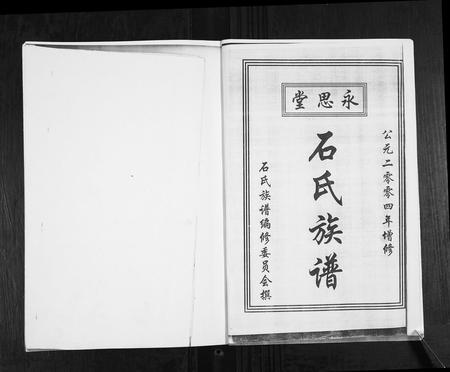 山东石氏-石氏族谱.pdf电子版预览图2