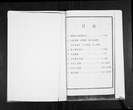 山东石氏-石氏族谱.pdf电子版预览图4