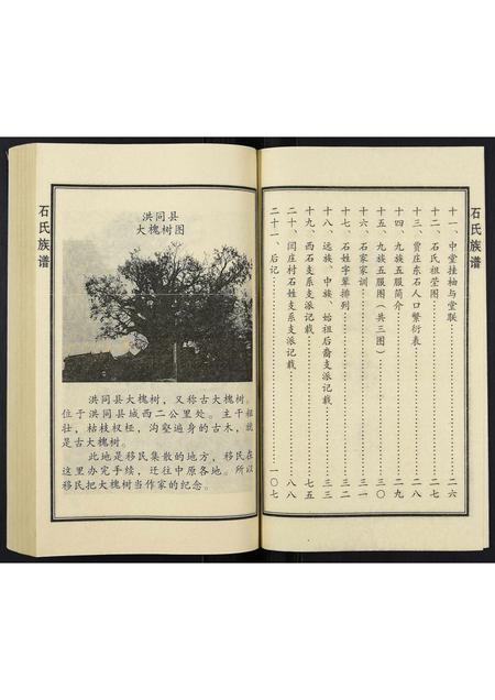 山东石氏-石氏族谱.pdf电子版预览图3