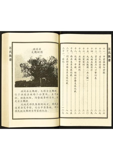 山东石氏-石氏族谱.pdf电子版预览图3