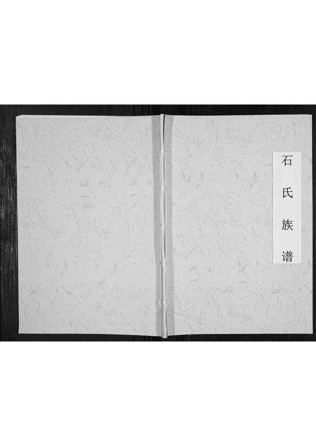 山东石氏-石氏族谱[不分卷].pdf电子版缩略图