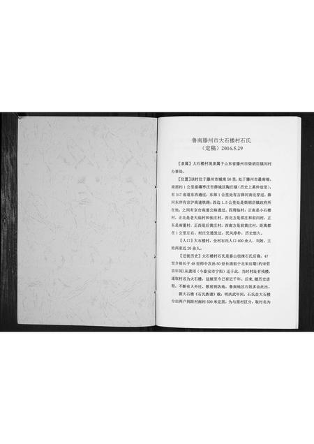 山东石氏-石氏族谱[不分卷].pdf电子版预览图1