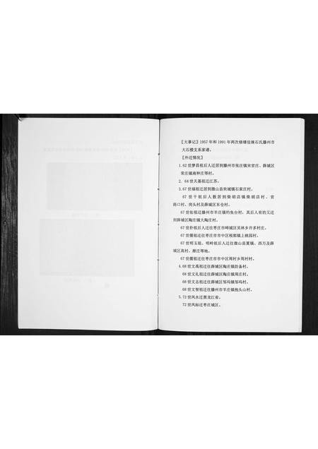 山东石氏-石氏族谱[不分卷].pdf电子版预览图4