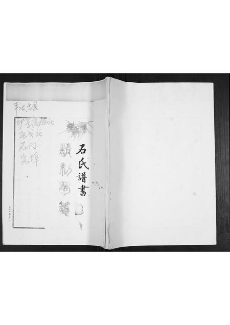 山东石氏-石氏谱书.pdf电子版缩略图