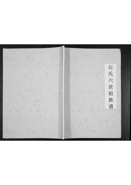 广西石氏-石氏六世祖族谱[不分卷].pdf电子版缩略图