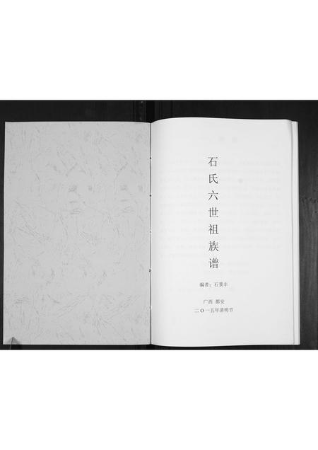 广西石氏-石氏六世祖族谱[不分卷].pdf电子版预览图1