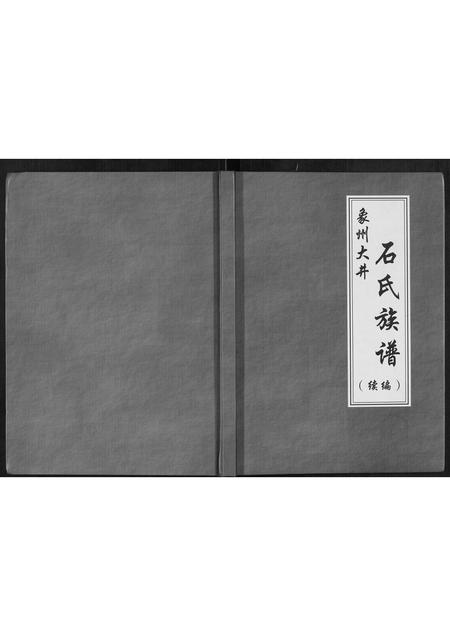 广西石氏-象州大井石氏族谱续编.pdf电子版缩略图