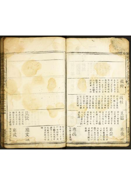 甘肃石氏-武威石氏大成宗谱.pdf电子版预览图2