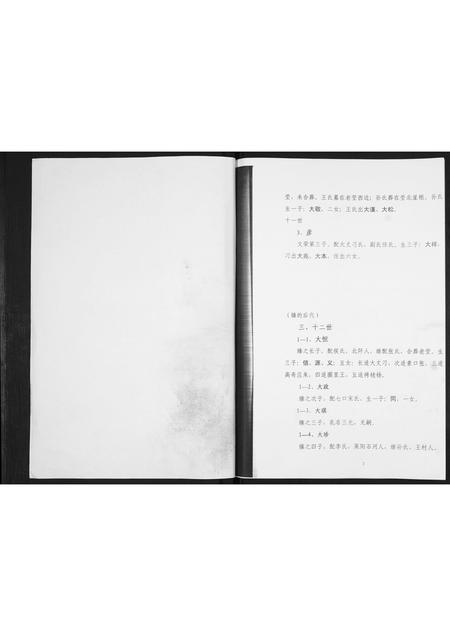 吉林时氏-时氏族谱[不分卷].pdf电子版预览图2