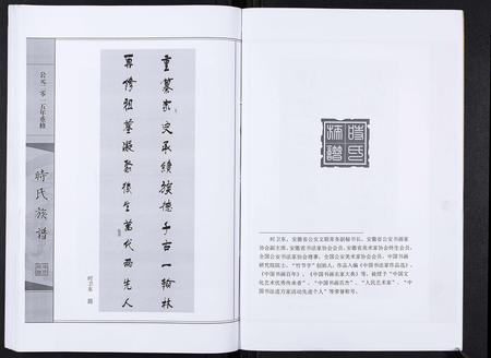 山东时氏-时氏族谱[3卷].pdf电子版预览图4