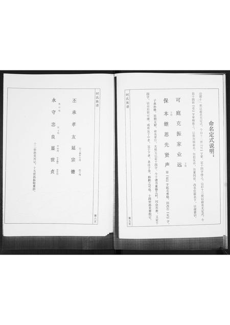 山东时氏-丰城庄子时氏谱书[不分卷].pdf电子版预览图5