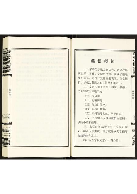 内蒙史氏-奈曼史氏宗谱.pdf电子版预览图2