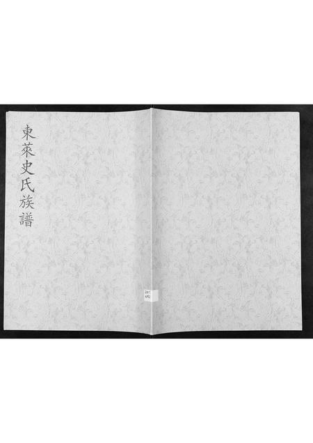 山东史氏-东莱史氏族谱[不分卷].pdf电子版缩略图