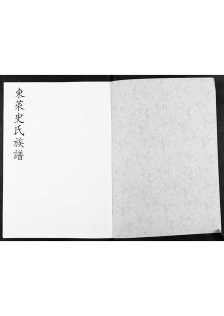 山东史氏-东莱史氏族谱[不分卷].pdf电子版预览图1