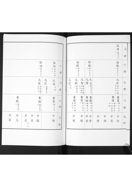 山东司氏-司氏族谱.pdf电子版预览图3
