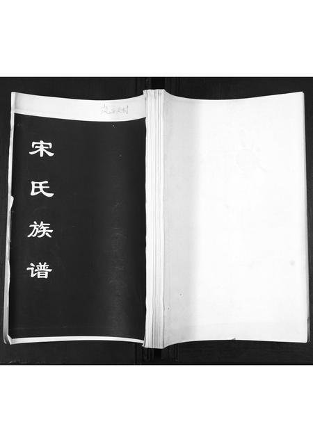 山东宋氏-宋氏族谱[不分卷].pdf电子版缩略图