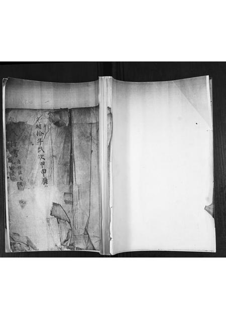 山东宋氏-宋氏族谱[不分卷].pdf电子版缩略图