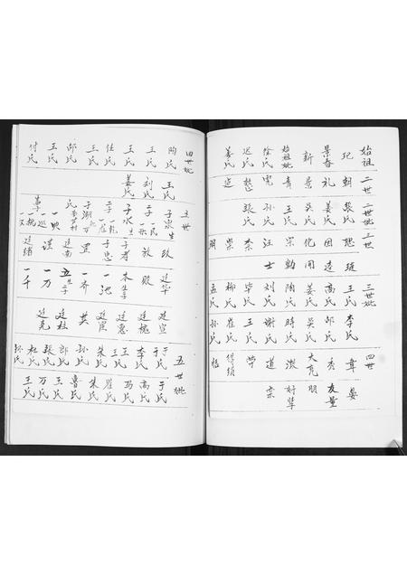 山东宋氏-宋氏族谱[不分卷].pdf电子版预览图2