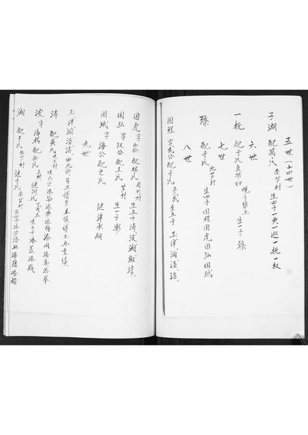山东宋氏-宋氏族谱[不分卷].pdf电子版预览图3