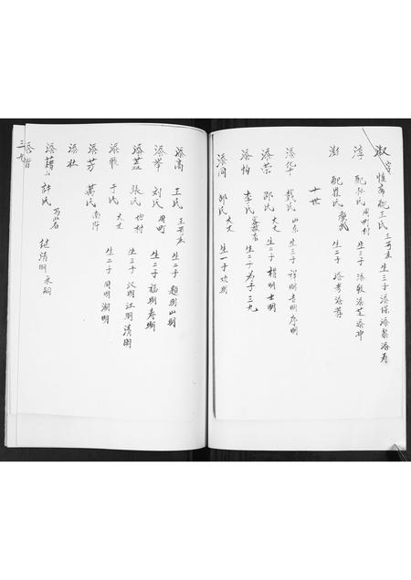 山东宋氏-宋氏族谱[不分卷].pdf电子版预览图4