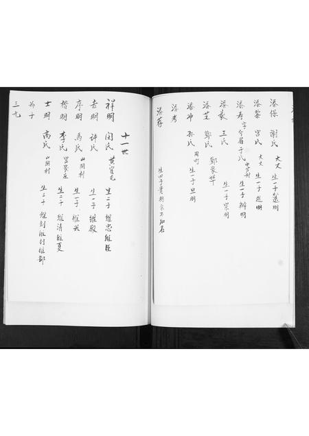 山东宋氏-宋氏族谱[不分卷].pdf电子版预览图5