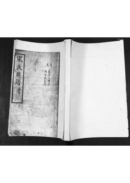 山东宋氏-宋氏族谱[不分卷].pdf电子版缩略图