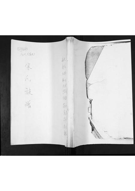 山东宋氏-宋氏族谱[不分卷].pdf电子版缩略图
