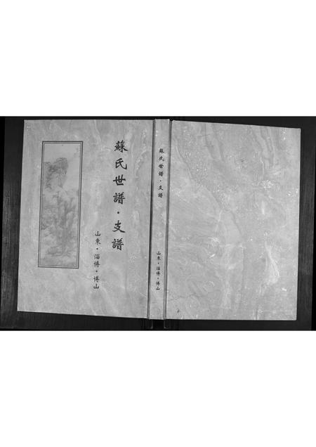 山东苏氏-苏氏世谱.支谱.pdf电子版缩略图