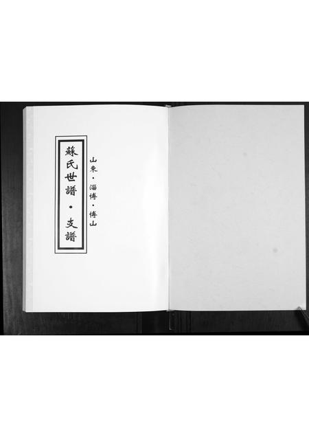 山东苏氏-苏氏世谱.支谱.pdf电子版预览图1