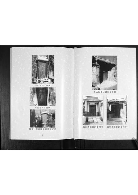 山东苏氏-苏氏世谱.支谱.pdf电子版预览图4