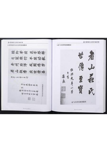 广西苏氏-广西藤县苏氏原端宗亲族谱.pdf电子版预览图1