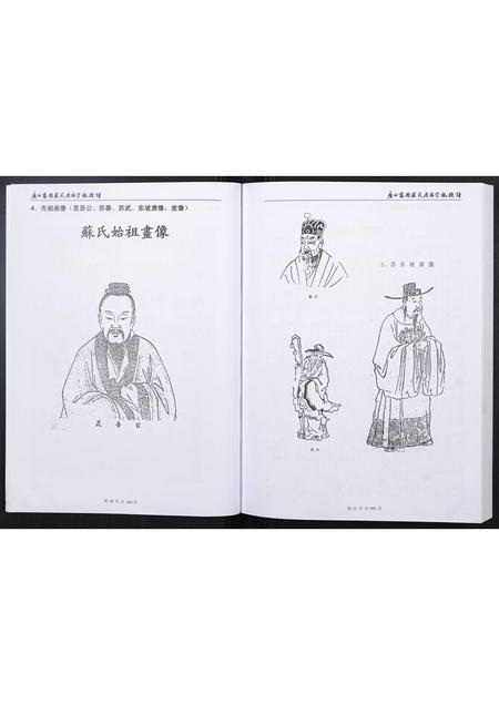 广西苏氏-广西藤县苏氏原端宗亲族谱.pdf电子版预览图2