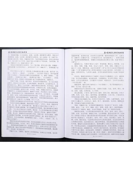 广西苏氏-广西藤县苏氏原端宗亲族谱.pdf电子版预览图5