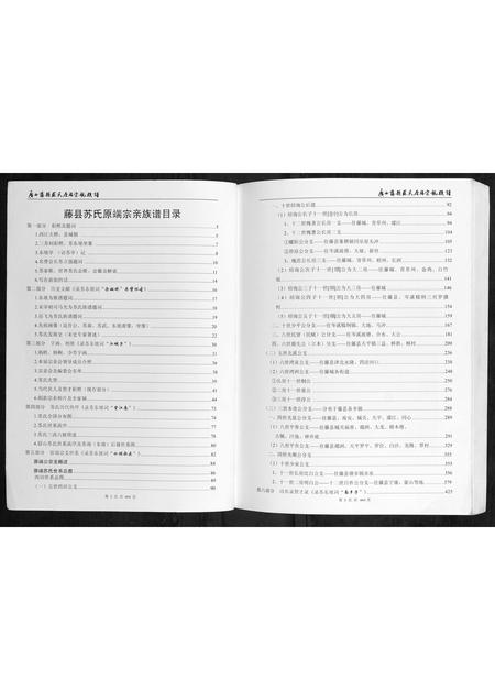 广西苏氏-广西藤县苏氏原端宗亲族谱.pdf电子版预览图2