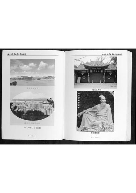 广西苏氏-广西藤县苏氏原端宗亲族谱.pdf电子版预览图4