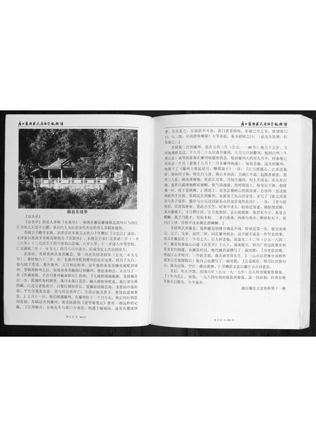 广西苏氏-广西藤县苏氏原端宗亲族谱.pdf电子版预览图5