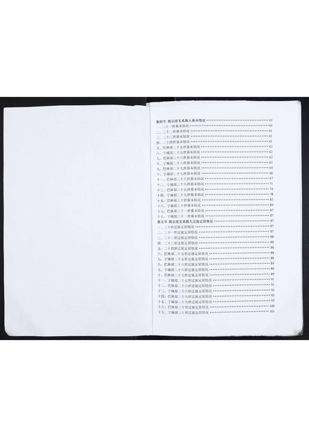 内蒙隋氏-隋氏家谱.pdf电子版预览图4