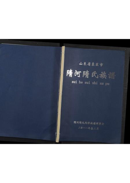 山东隋氏-山东省枣庄市隋河隋氏族谱 [全1册](别名：隋河隋氏族谱).pdf电子版缩略图