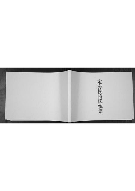 山东隋氏-定海侯隋氏统谱[不分卷].pdf电子版缩略图