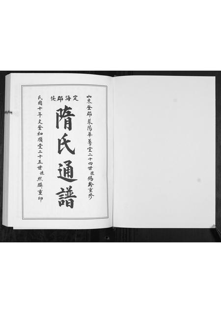山东隋氏-定海郡隋氏族谱.pdf电子版预览图1